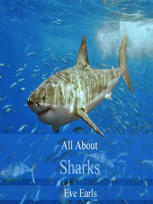 cover image of All About Sharks